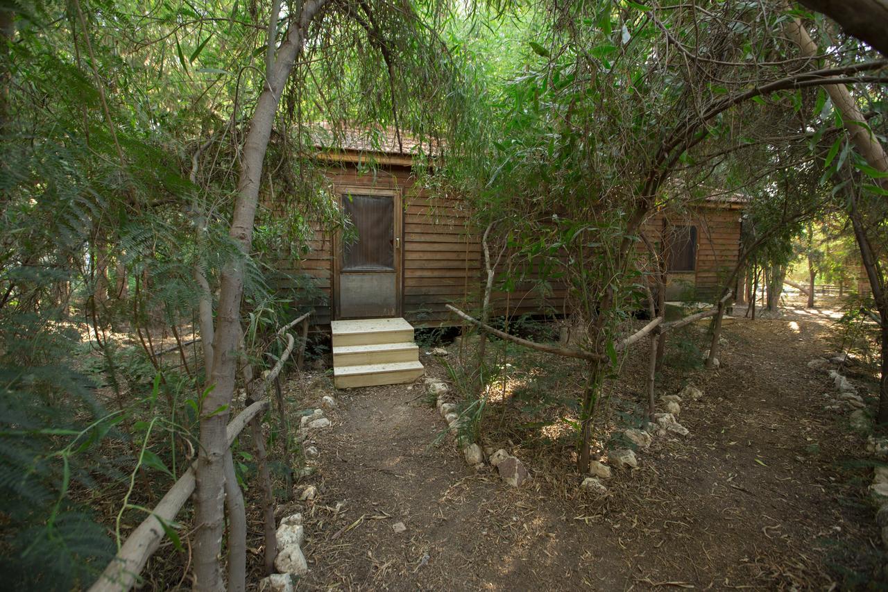 Sharhabil Bin Hasnah Ecopark Hotel Qulay'at Ngoại thất bức ảnh